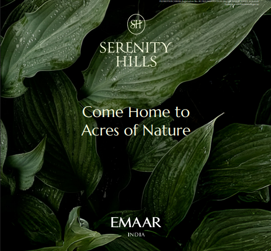 emaar video image